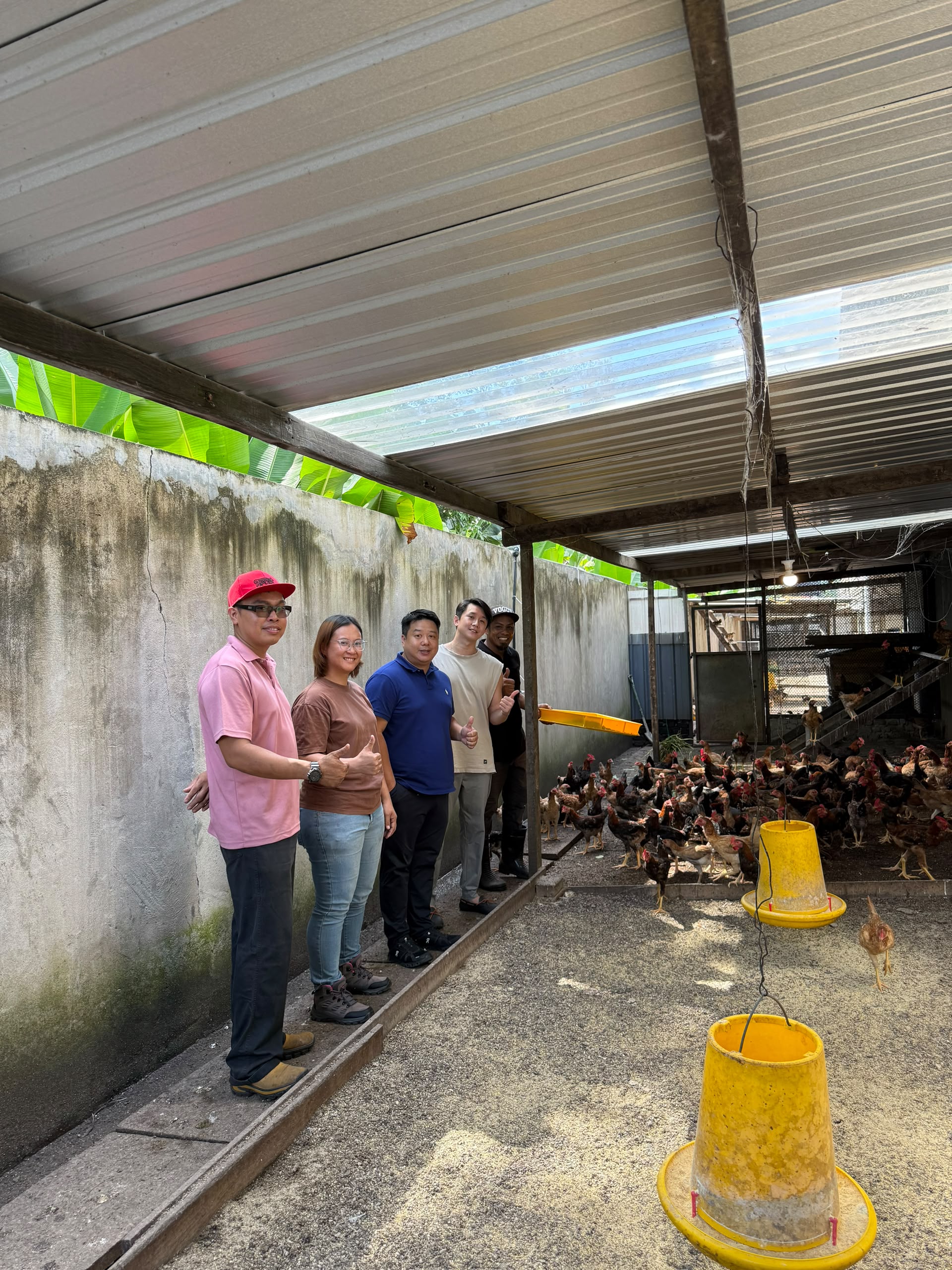 Visit from De Green Farm — photo 2