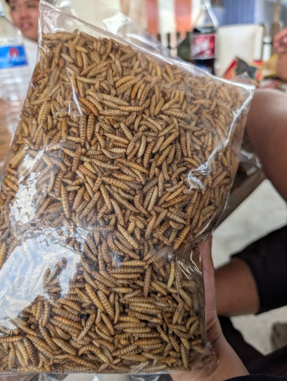 Dried Larvae (Pack)